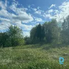 Land in Daugmale!