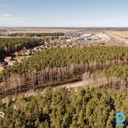 Piedāvājumā ļoti plašs zemes gabals ar privātu mežu mājas būvniecībai izcilā vie