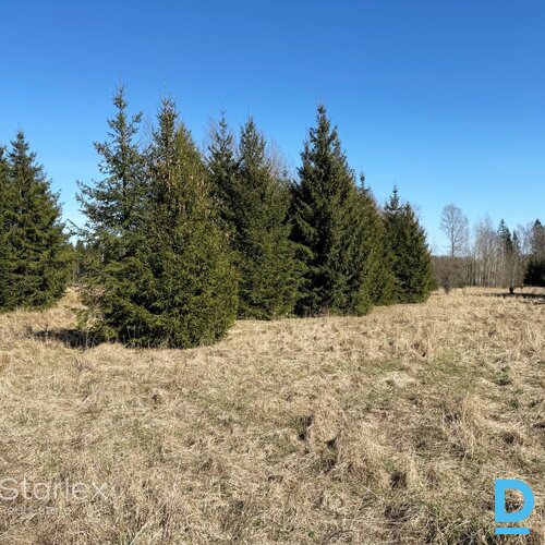 19.73 ha zemes gabals Augšlīgatnē 19.73 ha zemes gabals Augšlīgatnē