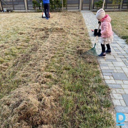 Iznomā Still RL540 Aeratoru