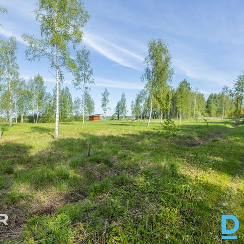 Pārdošanā līdzens 5014 m² zemes gabals privātai apbūvei netālu no Jaunolaines.Ze