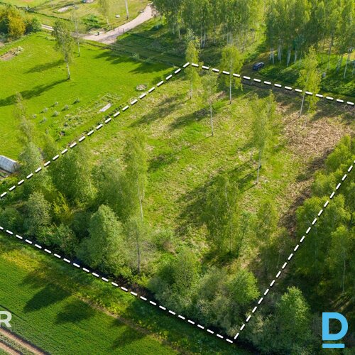 Pārdošanā līdzens 5014 m² zemes gabals privātai apbūvei netālu no Jaunolaines.Ze