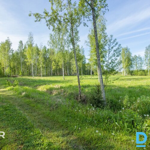 Pārdošanā līdzens 5014 m² zemes gabals privātai apbūvei netālu no Jaunolaines.Ze
