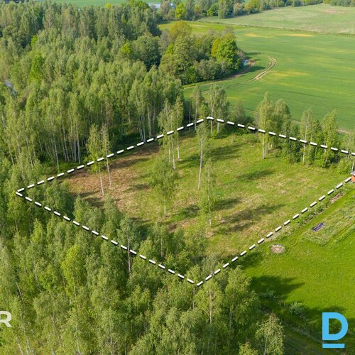 Pārdošanā līdzens 5014 m² zemes gabals privātai apbūvei netālu no Jaunolaines.Ze