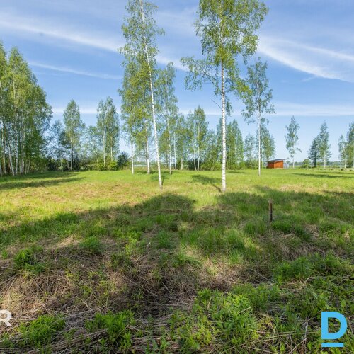 Pārdošanā līdzens 5014 m² zemes gabals privātai apbūvei netālu no Jaunolaines.Ze