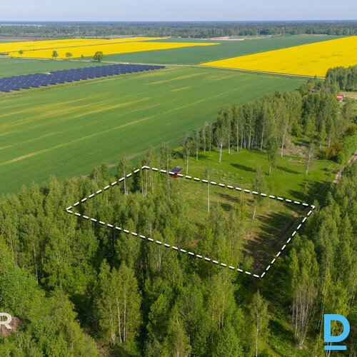 Pārdošanā līdzens 5014 m² zemes gabals privātai apbūvei netālu no Jaunolaines.Ze