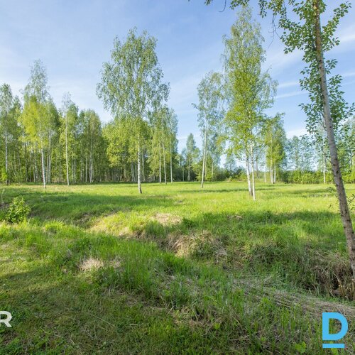 Pārdošanā līdzens 5014 m² zemes gabals privātai apbūvei netālu no Jaunolaines.Ze