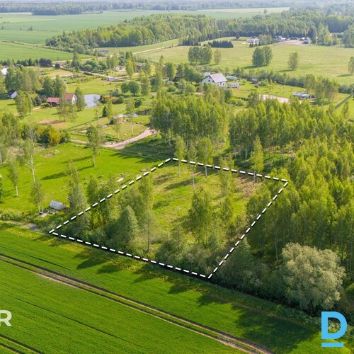 Pārdošanā līdzens 5014 m² zemes gabals privātai apbūvei netālu no Jaunolaines.Ze