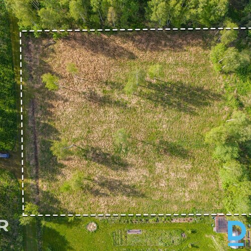 Pārdošanā līdzens 5014 m² zemes gabals privātai apbūvei netālu no Jaunolaines.Ze
