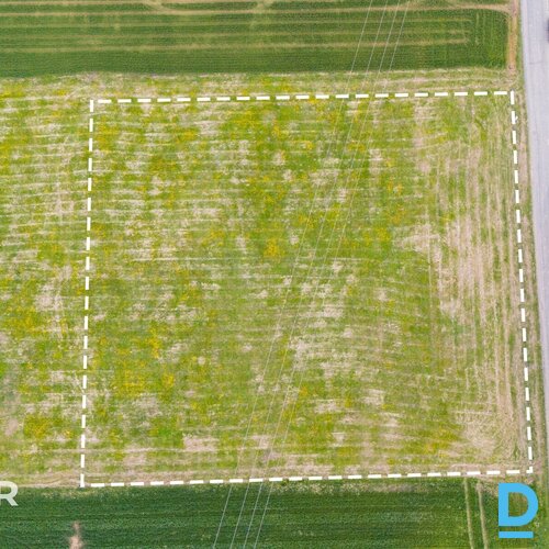 Pārdošanā ļoti plašs 4560 m² zemes gabals privātai apbūvei pie Dobeles.Spiediet 