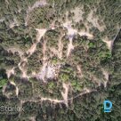 5.4 ha meža zeme ar Garkalnes bunkuru