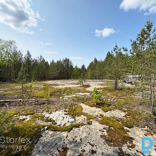 5.4 ha meža zeme ar Garkalnes bunkuru