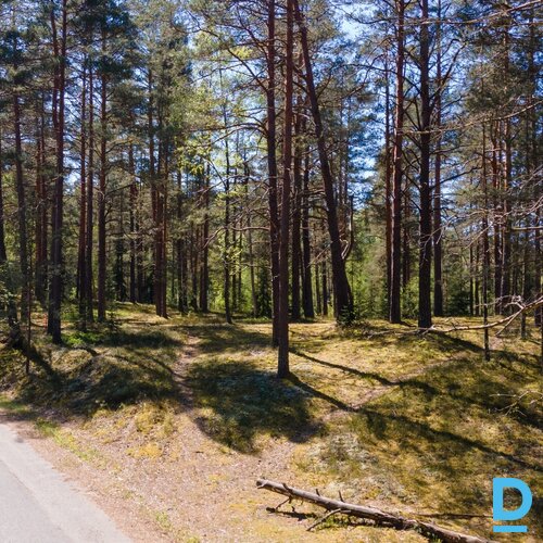 0.8 ha zeme, Zaķīši, Meža miers, Inčukalna pagasts, Siguldas novads, Latvija.