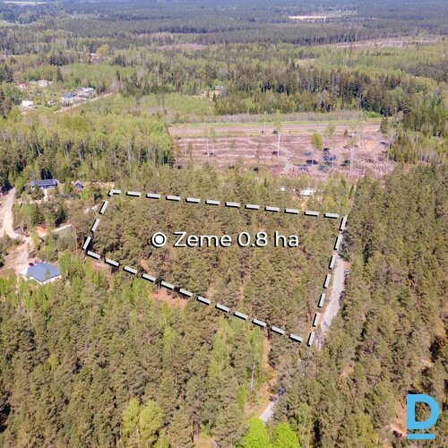 0.8 ha zeme, Zaķīši, Meža miers, Inčukalna pagasts, Siguldas novads, Latvija.