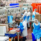 We offer work in the Netherlands and Belgium.