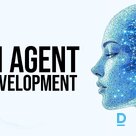 Head of Information Technology Department / Director vacancy