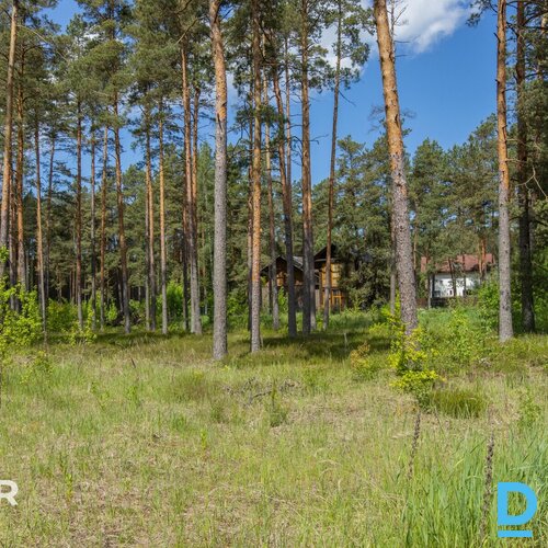 Priežu meža ieskauts 2100 m² zemes gabals privātai apbūvei Garkalnē.Zeme atrodas