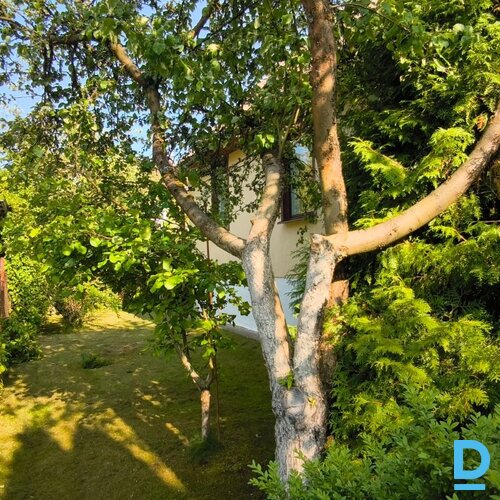 Dārza māja Ziemeļblāzmā