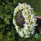 Продают Летние венки