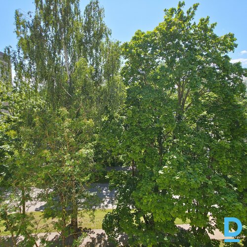 Izīrē dzīvokli Salaspils novads, Salaspils, Skolas iela 5 k-2, 34m², 1 ist.