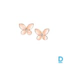 Продают Graff Mini Butterfly Stud Earrings