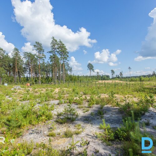 Pārdošanā 2000 m² zemes gabals privātai apbūvei klusā vietā netālu no Garkalnes.