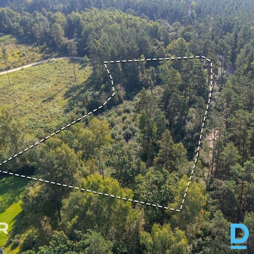 Pārdošanā daļēji atmežots 1,28 ha zemes gabals privātmāju būvniecībai pie Ādažie