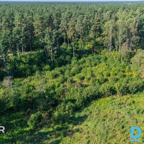 Pārdošanā daļēji atmežots 1,28 ha zemes gabals privātmāju būvniecībai pie Ādažie