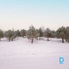 Продажа земельного участка на Violetas iela 9