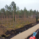 Продажа земельного участка на Mārtiņa iela 49