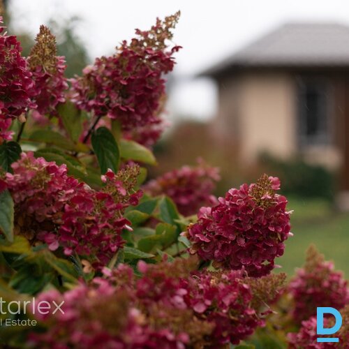 Māja Carnikavā pie Gaujas, ar zemi un ziedošu dārzu.