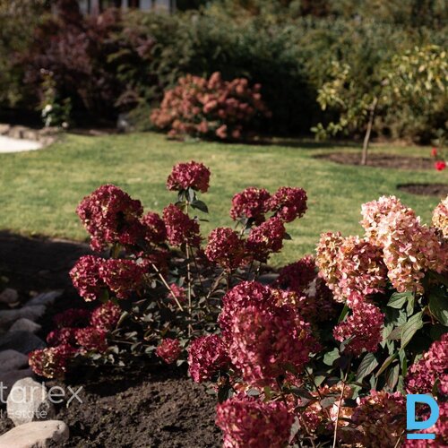 Mājīga vasarnīca Carnikavā pie Gaujas, ar zemi un ziedošu dārzu. Mājīga vasarnīca Carnikavā pie Gaujas, ar zemi un ziedošu dārzu.