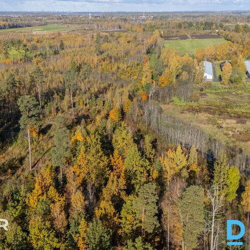 Pārdošanā 8.16 ha zemes gabals ar iespēju sadalīt 35 apbūves gabalos Ķekavas pag