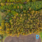 На продажу ровный земельный участок площадью 2,2 га с лесом в Свэтесской волости