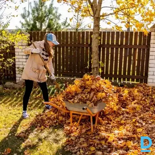 Piedāvā Lapu grābšana un izvešana. Par cenu varam vienoties uz vietas. Laba darba kvalitāte. Pieņemu Jelgavā un Jelgavas rajonā. Rakstat pa Nr. 20002210 Piedāvā Lapu grābšana un izvešana. Par cenu varam vienoties uz vietas. Laba darba kvalitāte. Pieņemu Jelgavā un Jelgavas rajonā. Rakstat pa Nr. 20002210