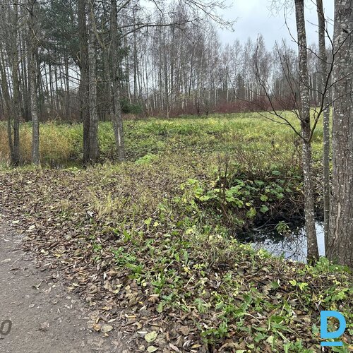 Pārdod zemi Rīga Pārdod zemi Rīga