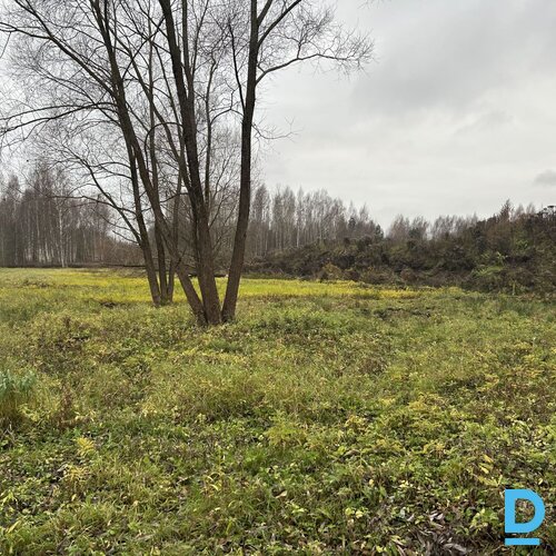 Pārdod zemi Rīga Pārdod zemi Rīga