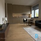 Flat for rent Lielirbes iela 9a