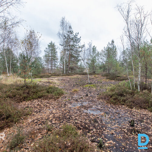 Īpašums 2217 m² platībā atrodasmierīgā, zaļā apkaimē ar ērtu piekļuviOlaines un 