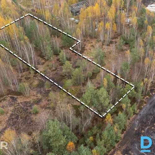 Īpašums 2217 m² platībā atrodasmierīgā, zaļā apkaimē ar ērtu piekļuviOlaines un 