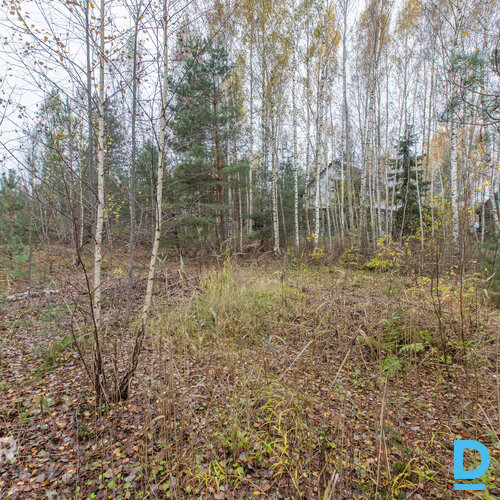 Īpašums 2217 m² platībā atrodasmierīgā, zaļā apkaimē ar ērtu piekļuviOlaines un 