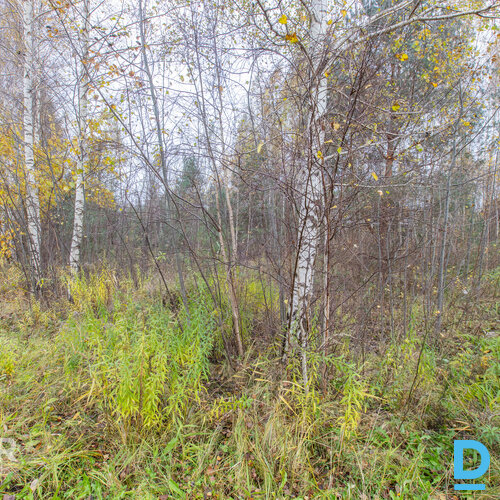 Īpašums 2217 m² platībā atrodasmierīgā, zaļā apkaimē ar ērtu piekļuviOlaines un 