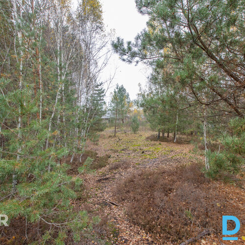 Īpašums 2217 m² platībā atrodasmierīgā, zaļā apkaimē ar ērtu piekļuviOlaines un 