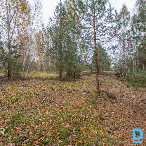 Īpašums 2217 m² platībā atrodasmierīgā, zaļā apkaimē ar ērtu piekļuviOlaines un 