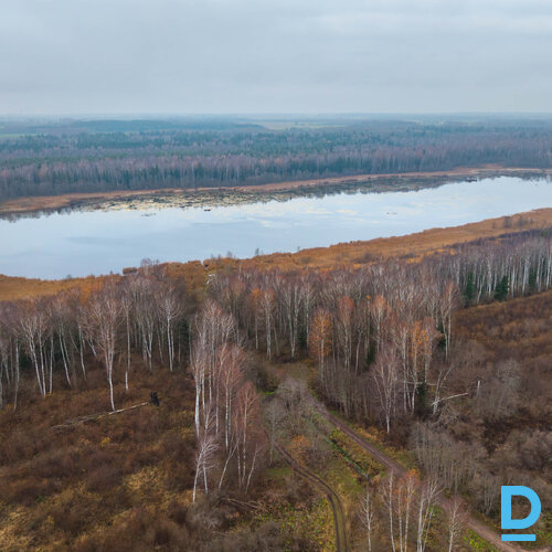 Pārdod zemi Atvari Pārdod zemi Atvari