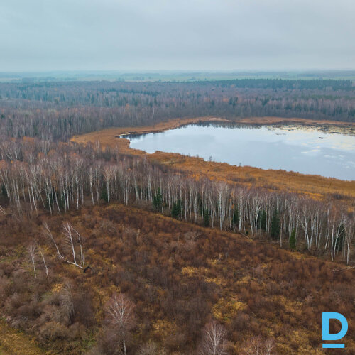 Pārdod zemi Atvari Pārdod zemi Atvari