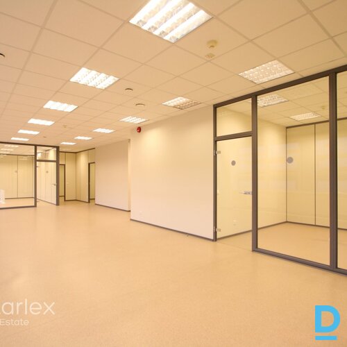 Dominante Parks Dominante Parks