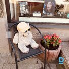 Izīrē komerctelpas Rīgā