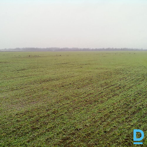 ZGabali uz nomu Rēzeknes novadā pie Rikavas pagasta, ~462 ha ZGabali uz nomu Rēzeknes novadā pie Rikavas pagasta, ~462 ha