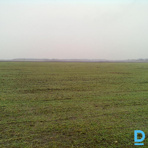 ZGabali uz nomu Rēzeknes novadā pie Rikavas pagasta, ~462 ha ZGabali uz nomu Rēzeknes novadā pie Rikavas pagasta, ~462 ha